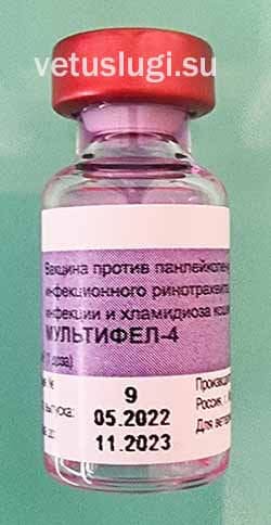 мультифел