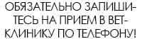 запишитесь на прием