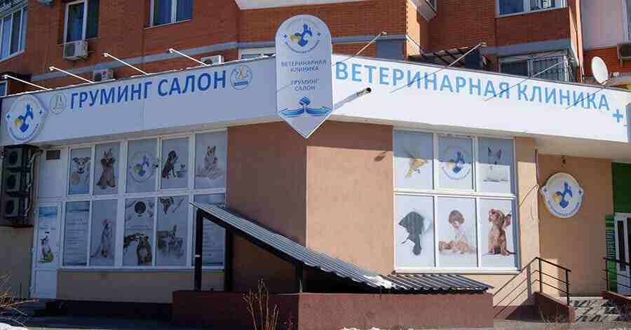 ветеринарные клиники московской области