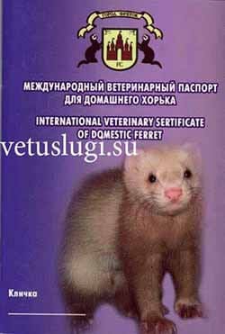 ветпаспорт для хорька