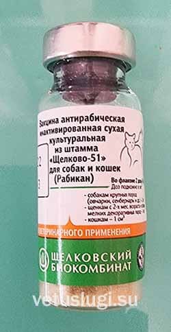 рабикан