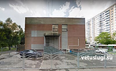 управа медведково