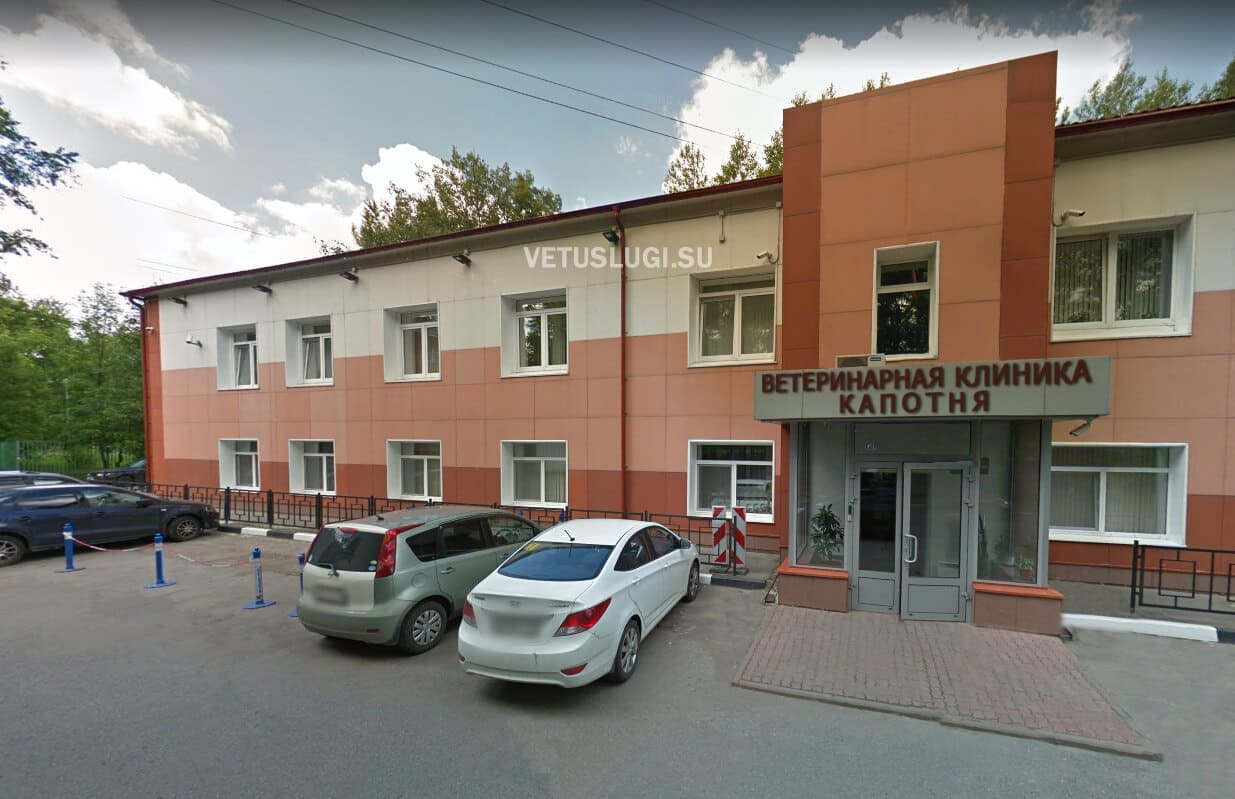 ветеринарная клиника капотня