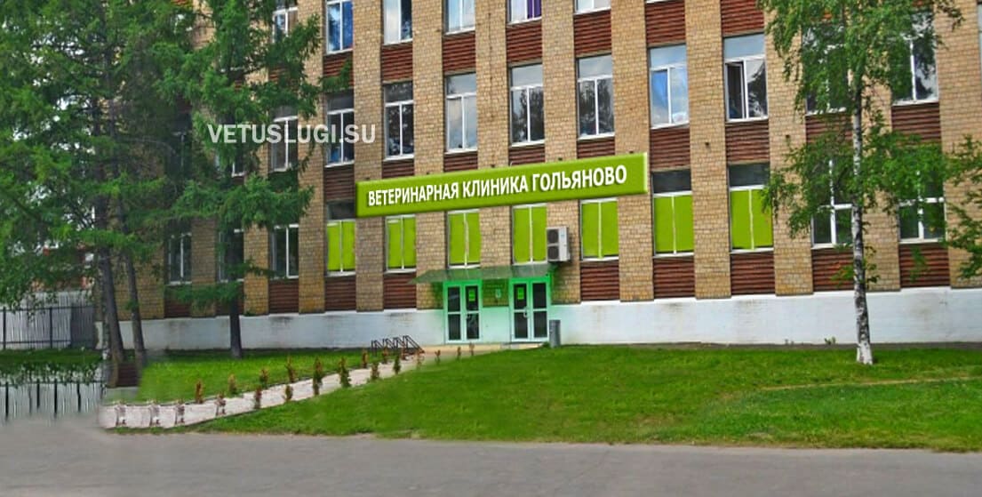 ветеринарная клиника гольяново