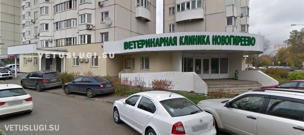 ветеринарная клиника новогиреево