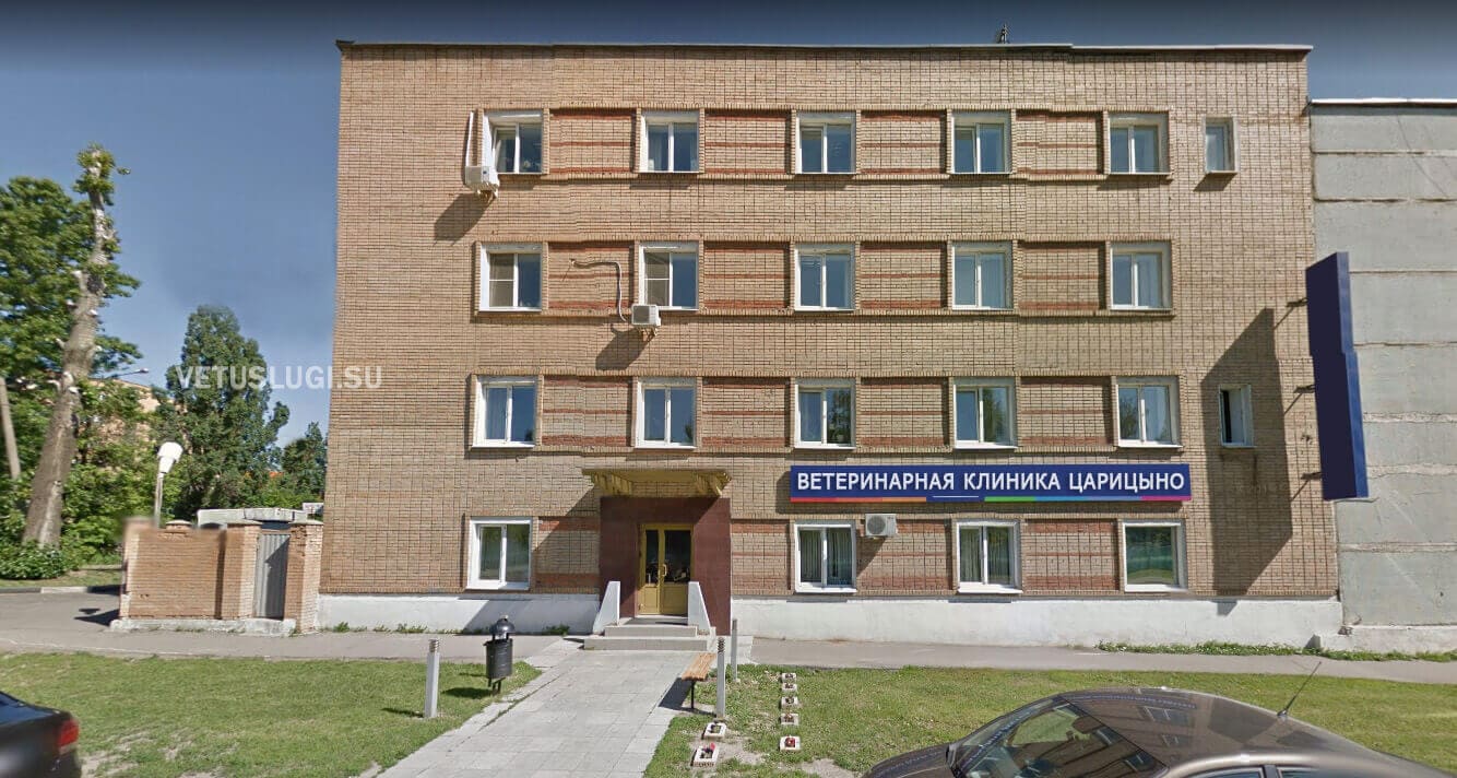 ветеринарная клиника царицыно