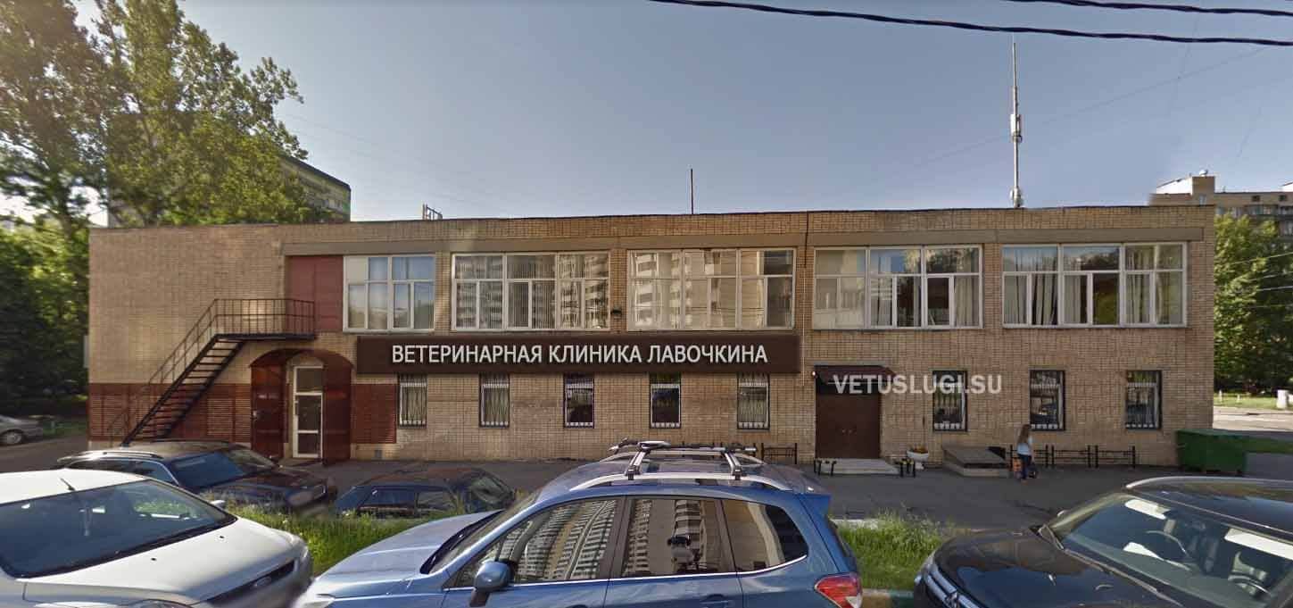 ветеринарная клиника Лавочкина