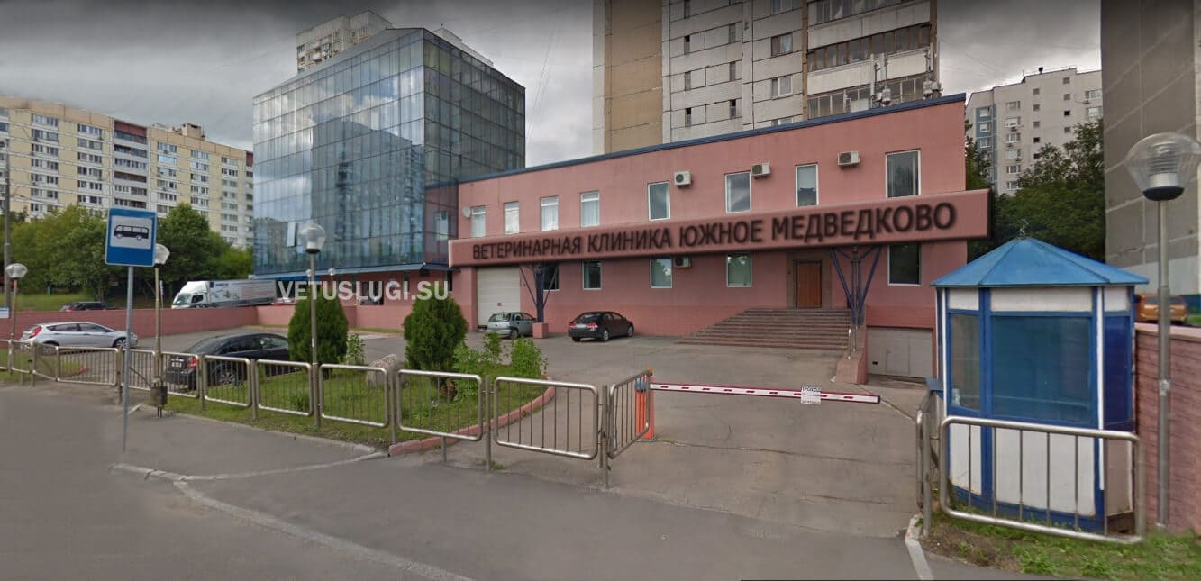 ветеринарная клиника южное медведково