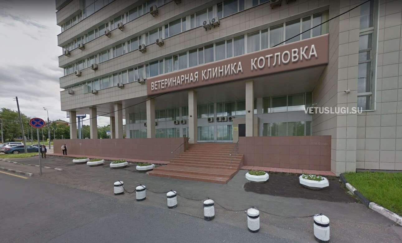 ветеринарная клиника котловка