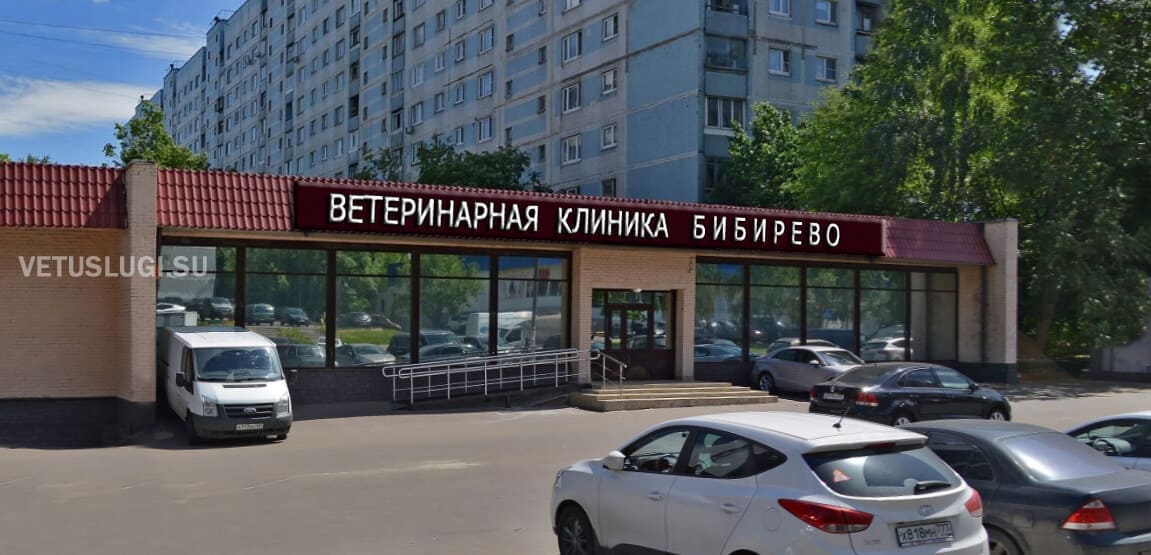 ветеринарная клиника бибирево