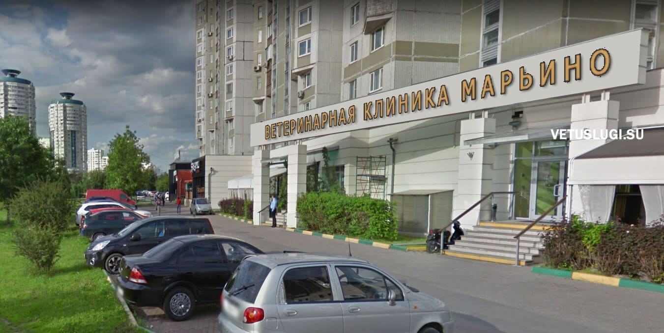 ветеринарная клиника марьино